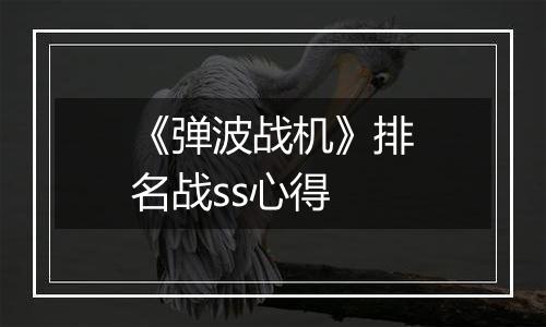 《弹波战机》排名战ss心得