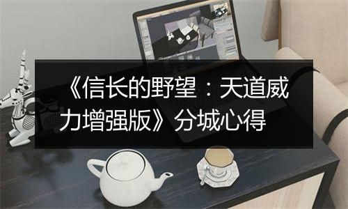 《信长的野望：天道威力增强版》分城心得