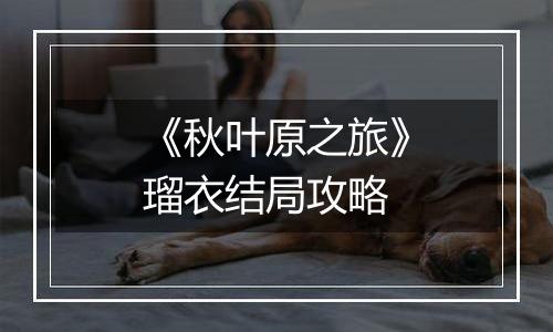 《秋叶原之旅》瑠衣结局攻略