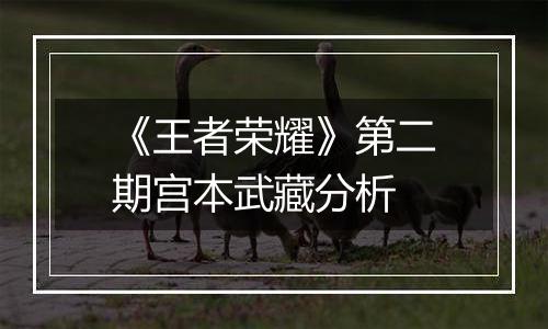 《王者荣耀》第二期宫本武藏分析