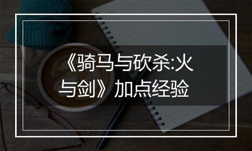 《骑马与砍杀:火与剑》加点经验