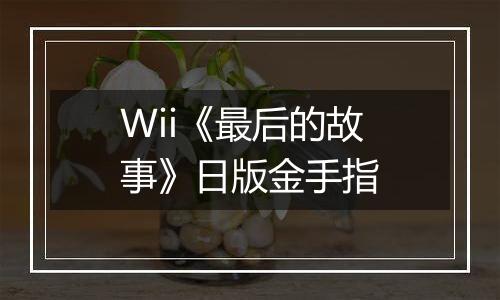Wii《最后的故事》日版金手指
