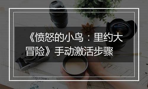 《愤怒的小鸟：里约大冒险》手动激活步骤