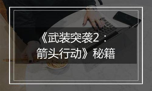 《武装突袭2：箭头行动》秘籍