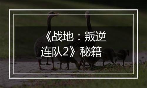 《战地：叛逆连队2》秘籍