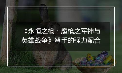 《永恒之枪：魔枪之军神与英雄战争》弩手的强力配合