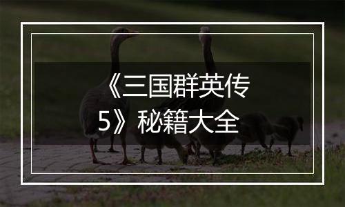 《三国群英传5》秘籍大全