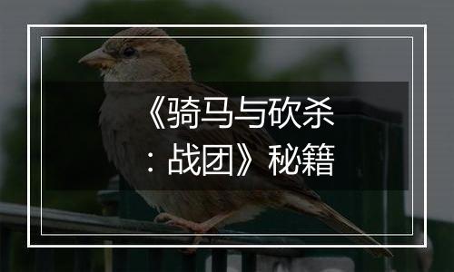 《骑马与砍杀：战团》秘籍