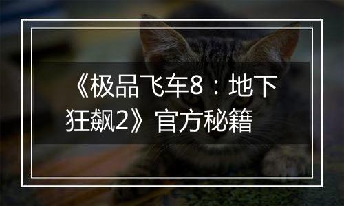 《极品飞车8：地下狂飙2》官方秘籍