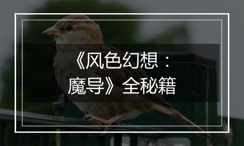 《风色幻想：魔导》全秘籍