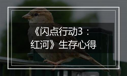 《闪点行动3：红河》生存心得