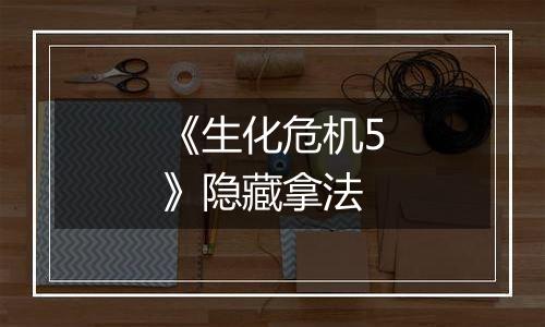 《生化危机5》隐藏拿法