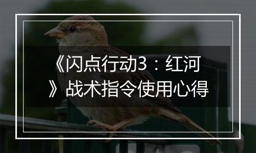 《闪点行动3：红河》战术指令使用心得