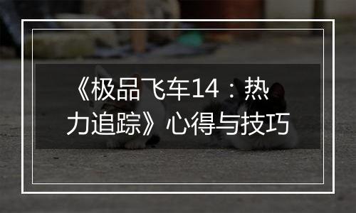 《极品飞车14：热力追踪》心得与技巧