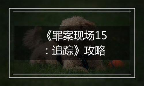 《罪案现场15：追踪》攻略