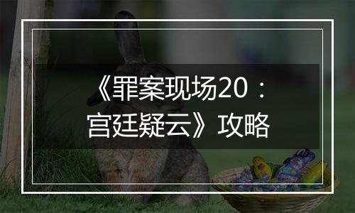 《罪案现场20：宫廷疑云》攻略