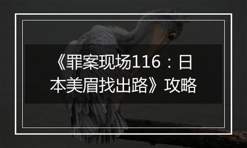 《罪案现场116：日本美眉找出路》攻略