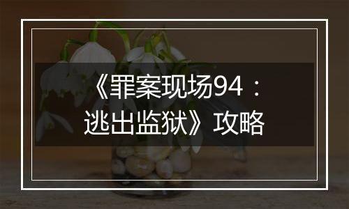 《罪案现场94：逃出监狱》攻略
