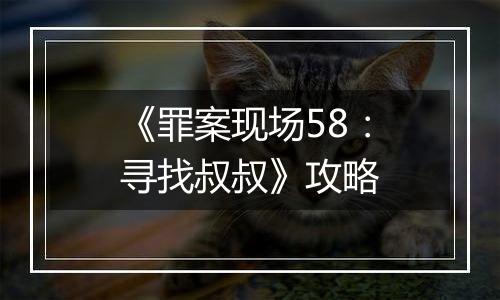 《罪案现场58：寻找叔叔》攻略