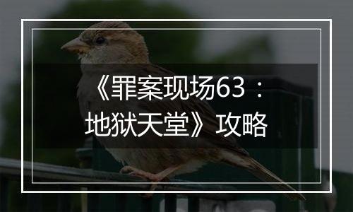 《罪案现场63：地狱天堂》攻略