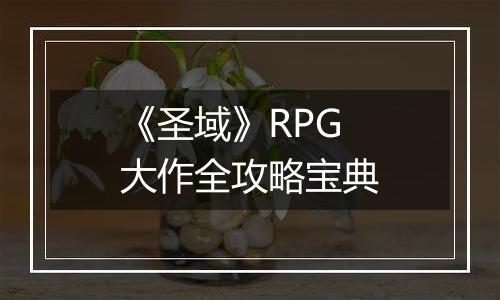 《圣域》RPG大作全攻略宝典