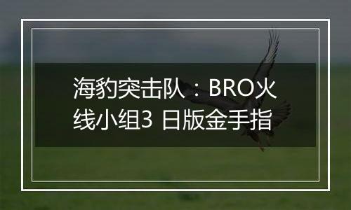 海豹突击队：BRO火线小组3 日版金手指