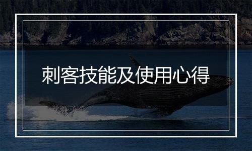 刺客技能及使用心得