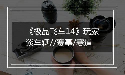 《极品飞车14》玩家谈车辆//赛事/赛道