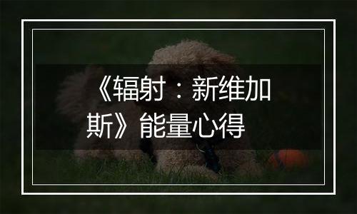 《辐射：新维加斯》能量心得
