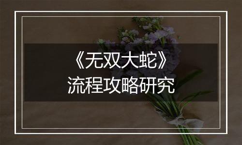 《无双大蛇》流程攻略研究