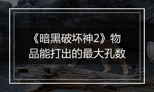 《暗黑破坏神2》物品能打出的最大孔数