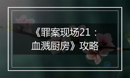 《罪案现场21：血溅厨房》攻略