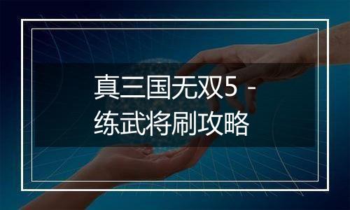 真三国无双5－练武将刷攻略