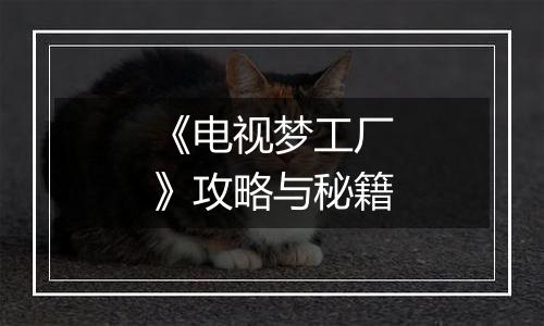 《电视梦工厂》攻略与秘籍