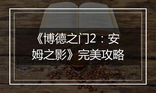 《博德之门2：安姆之影》完美攻略