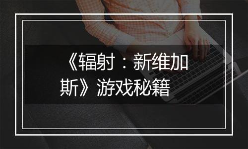 《辐射：新维加斯》游戏秘籍