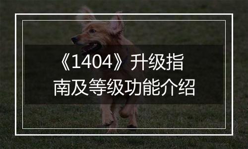 《1404》升级指南及等级功能介绍