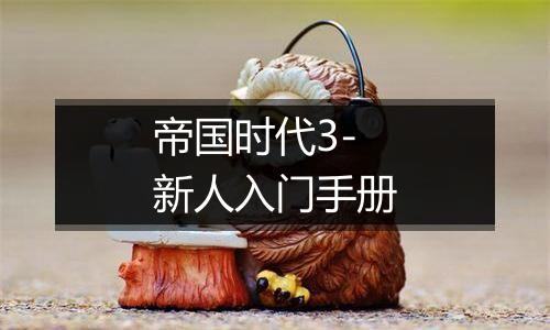 帝国时代3-新人入门手册