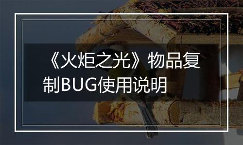 《火炬之光》物品复制BUG使用说明