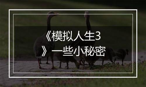 《模拟人生3》一些小秘密