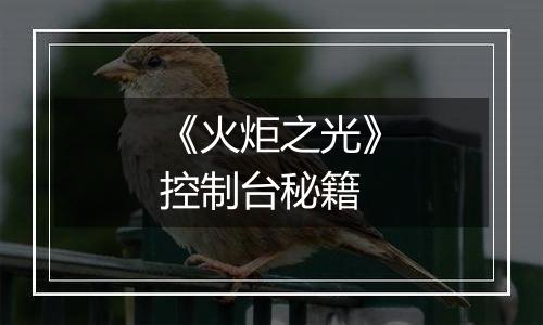 《火炬之光》控制台秘籍