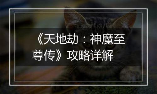 《天地劫：神魔至尊传》攻略详解