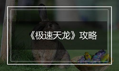 《极速天龙》攻略