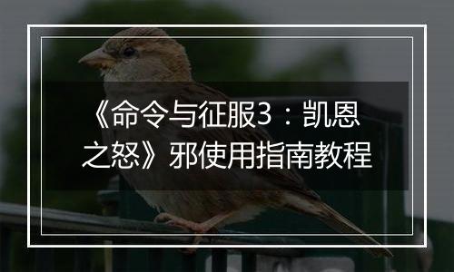 《命令与征服3：凯恩之怒》邪使用指南教程