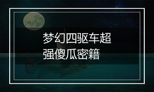 梦幻四驱车超强傻瓜密籍
