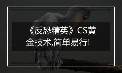 《反恐精英》CS黄金技术,简单易行!