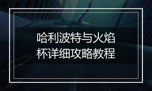 哈利波特与火焰杯详细攻略教程
