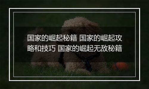 国家的崛起秘籍 国家的崛起攻略和技巧 国家的崛起无敌秘籍