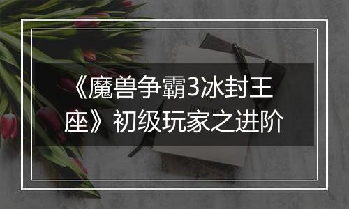 《魔兽争霸3冰封王座》初级玩家之进阶