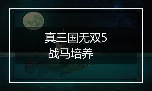 真三国无双5 战马培养
